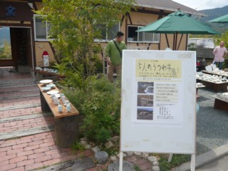 P1050028.jpg